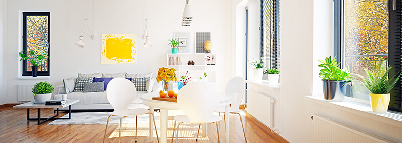 Bright living room inside home